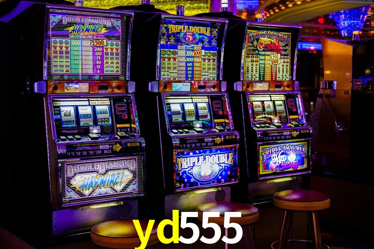 Casino Ao Vivo yd555