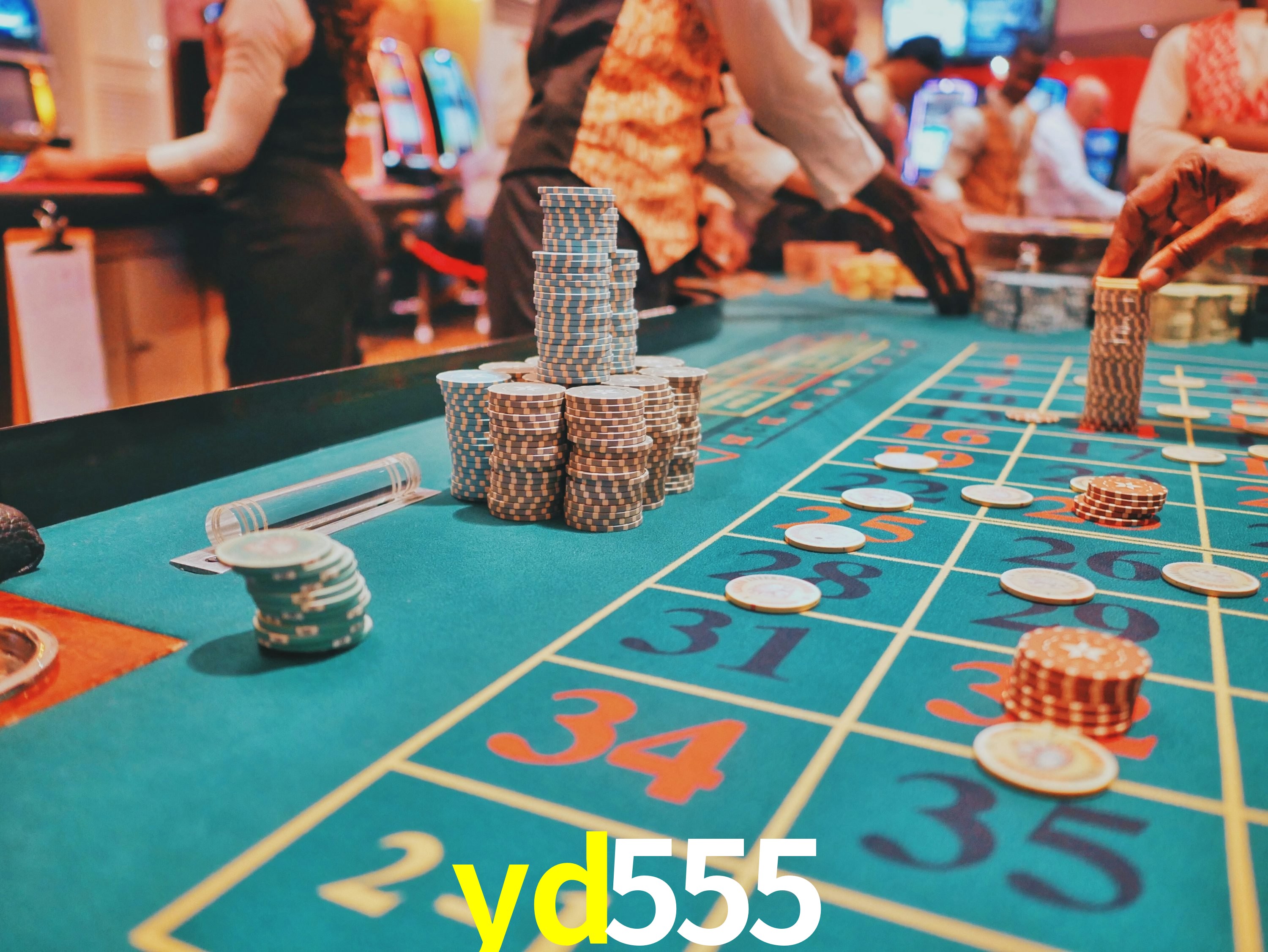 Casino Ao Vivo yd555